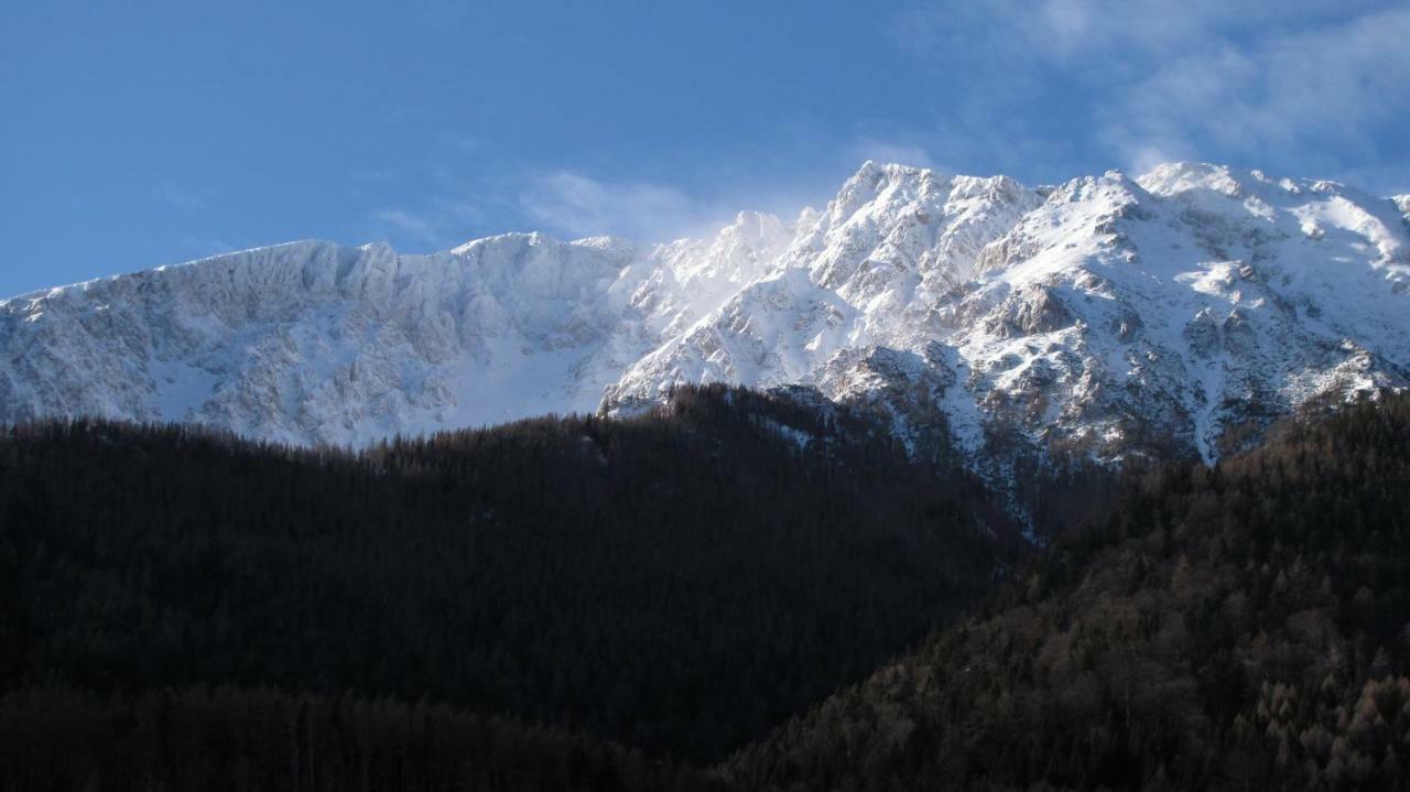 Haus Lenz Ferienwohnungen - Fam Ostermann Puchberg am Schneeberg Dış mekan fotoğraf