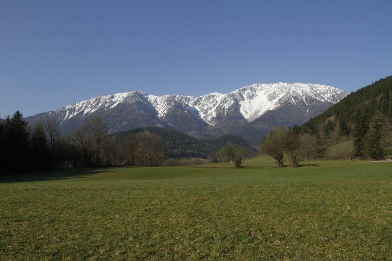 Haus Lenz Ferienwohnungen - Fam Ostermann Puchberg am Schneeberg Dış mekan fotoğraf